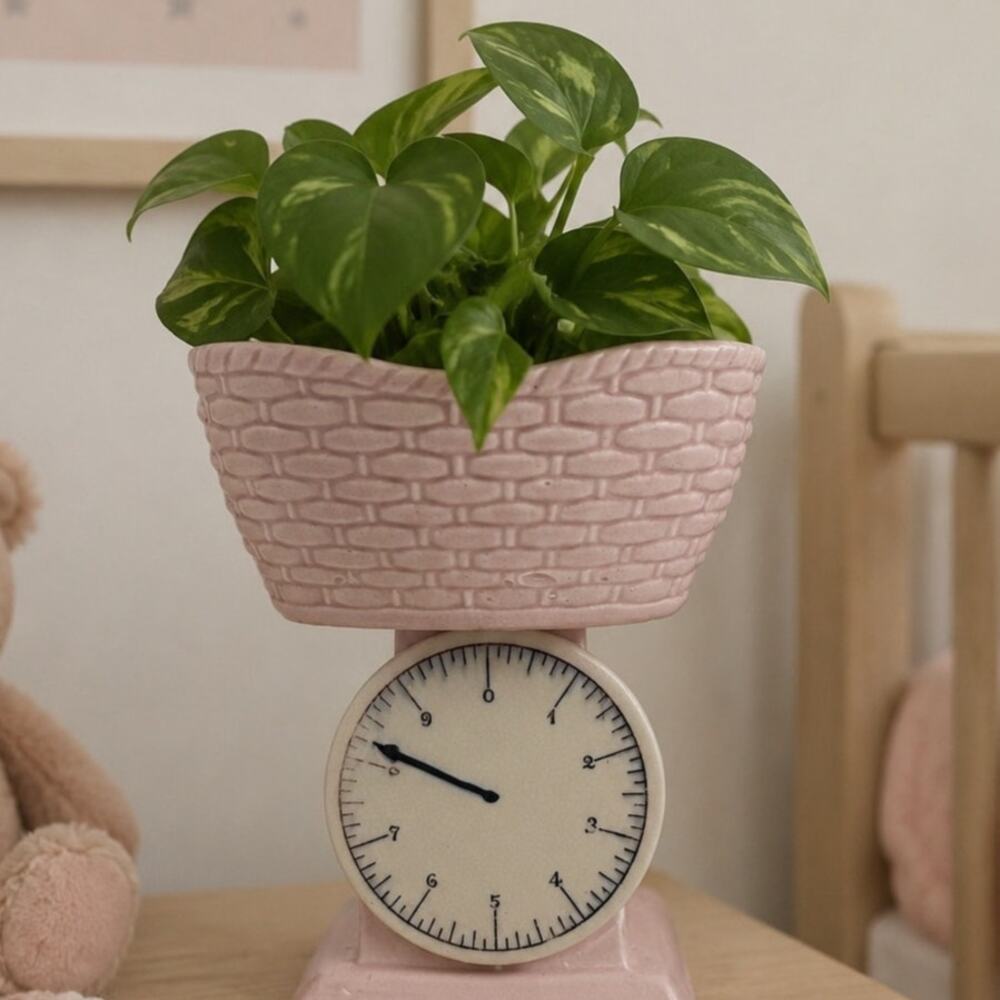 1950's Japanese Ceramic Pink Baby Scale Planter